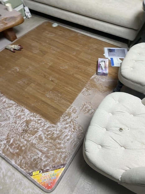 김포 장기동 구래동 일산 파주 소화기분말가루 청소하기 곤란하시다구요?